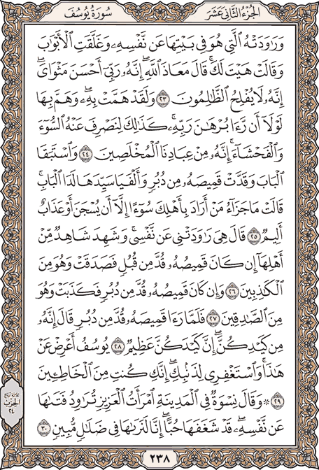 صفحة 238 من المصحف الشريف