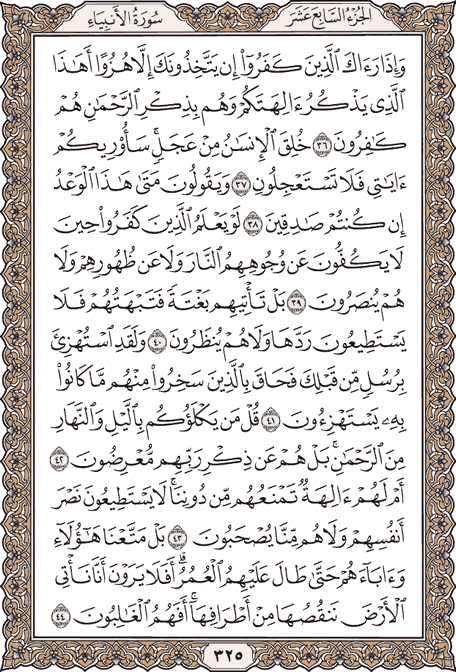 صفحة 325 من المصحف الشريف