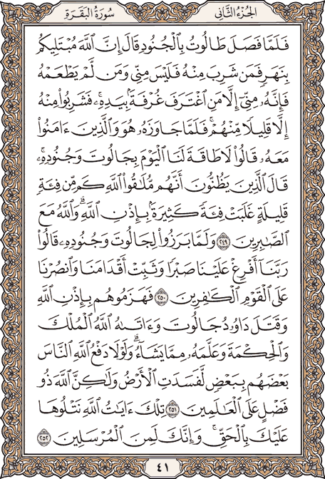 صفحة 41 من المصحف الشريف