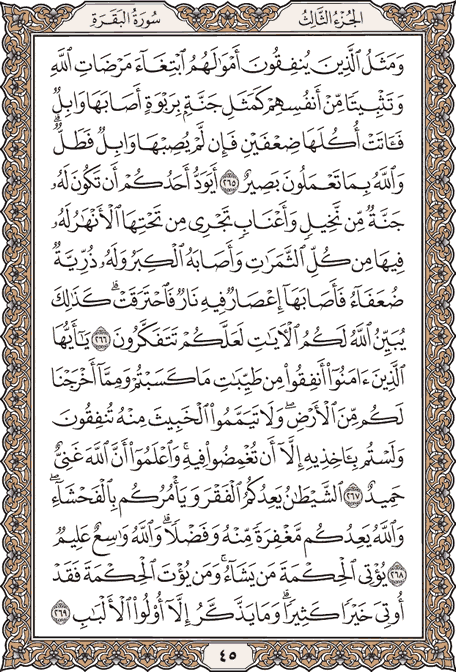 صفحة 45 من المصحف الشريف